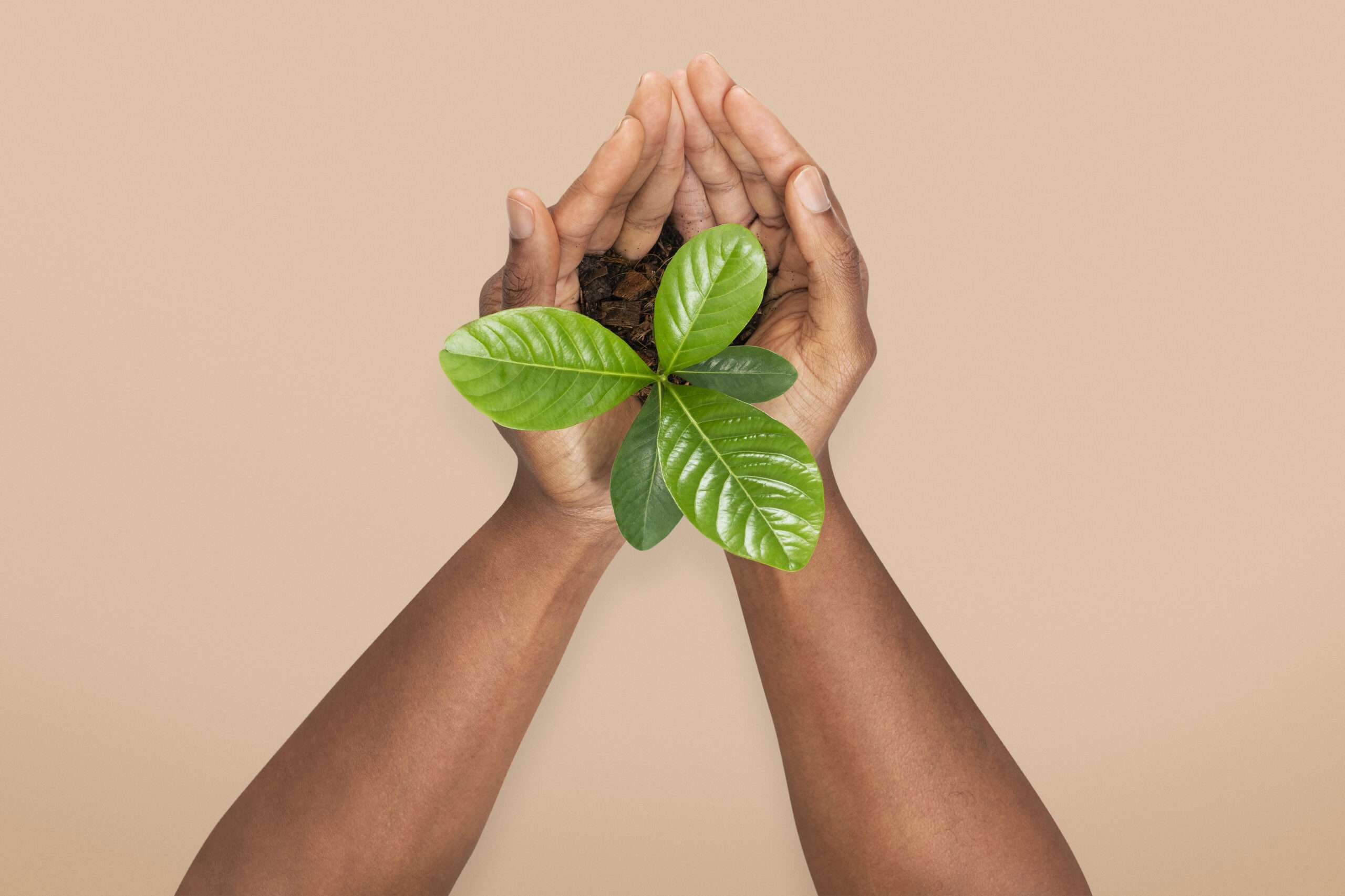 Nali Sustainability Solutions