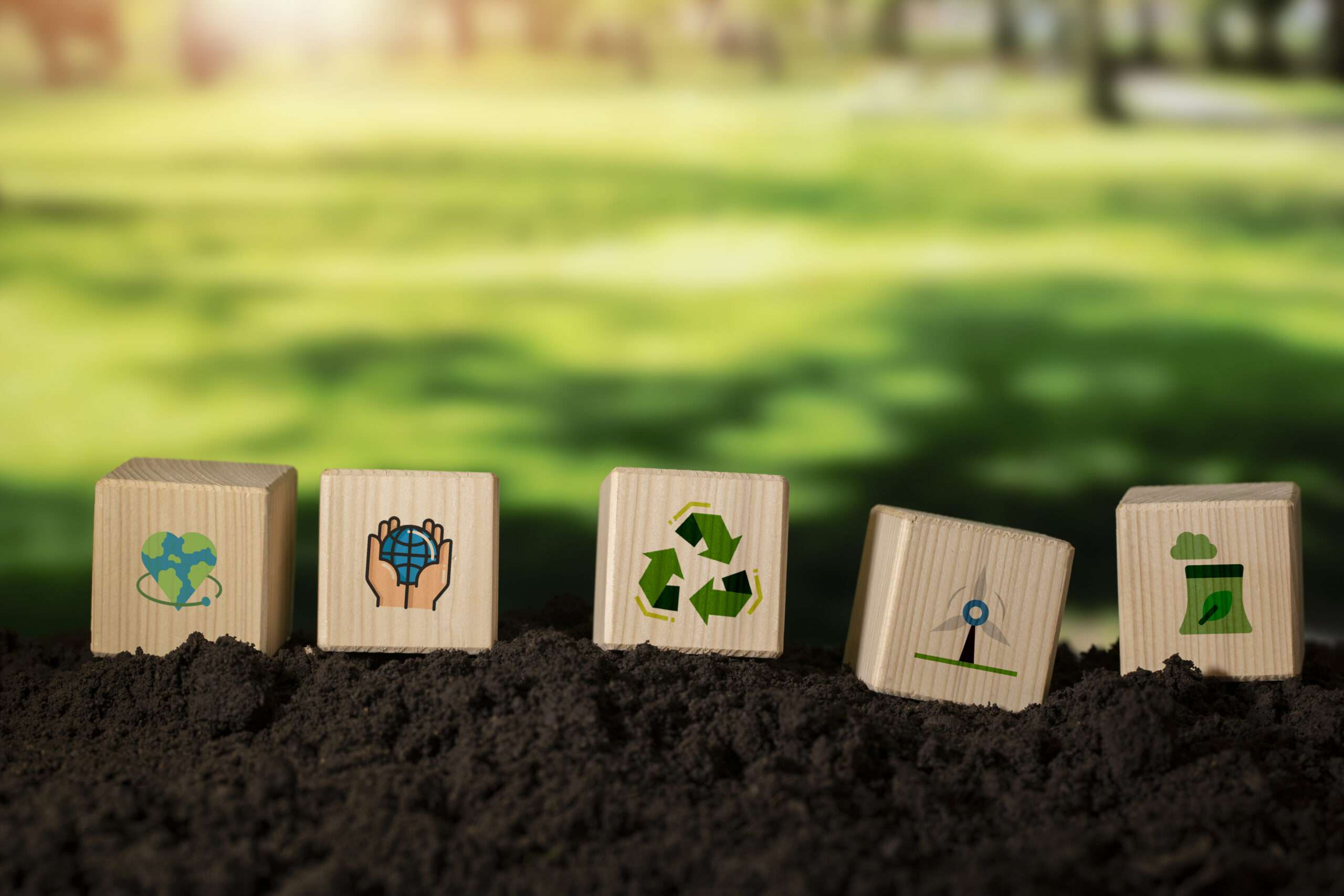 Nali Sustainability Solutions